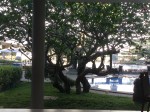 IMG_0024